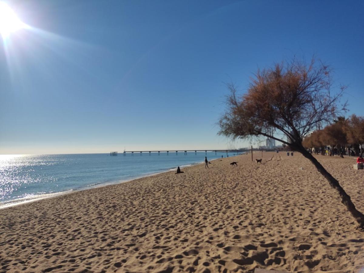 Hospedaje Dado De Baja 바달로나 외부 사진